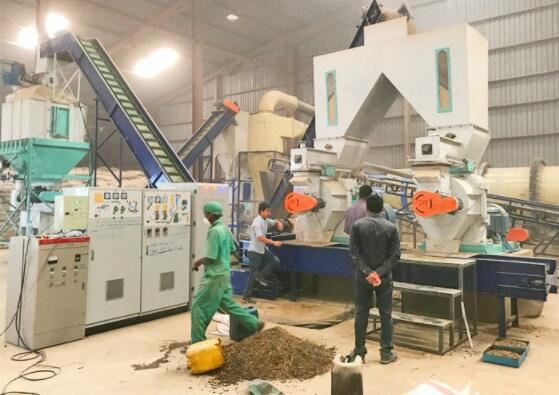 Sawdust Pellet Production Line